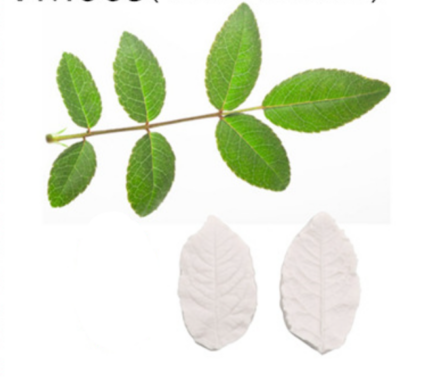 Rose Flower leaf veiner style 4