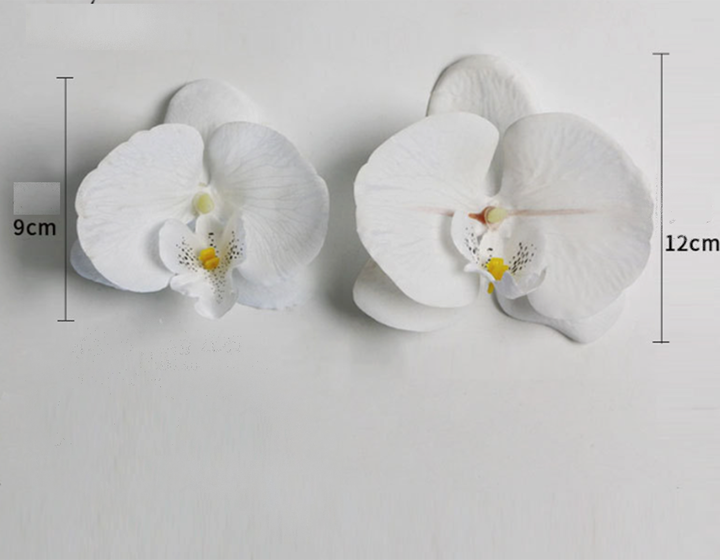 Screenshot 2025-03-29 004711