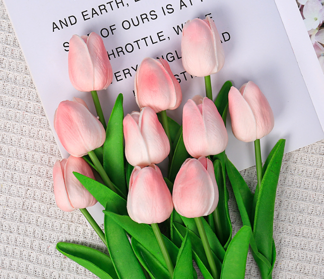 Screenshot 2025-04-25 205924