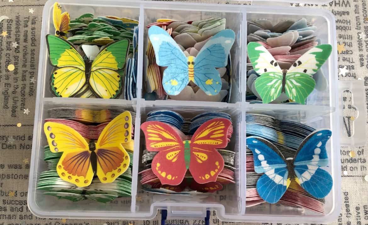 WhatsApp Image 2025-05-14 at 12.19.06 PM