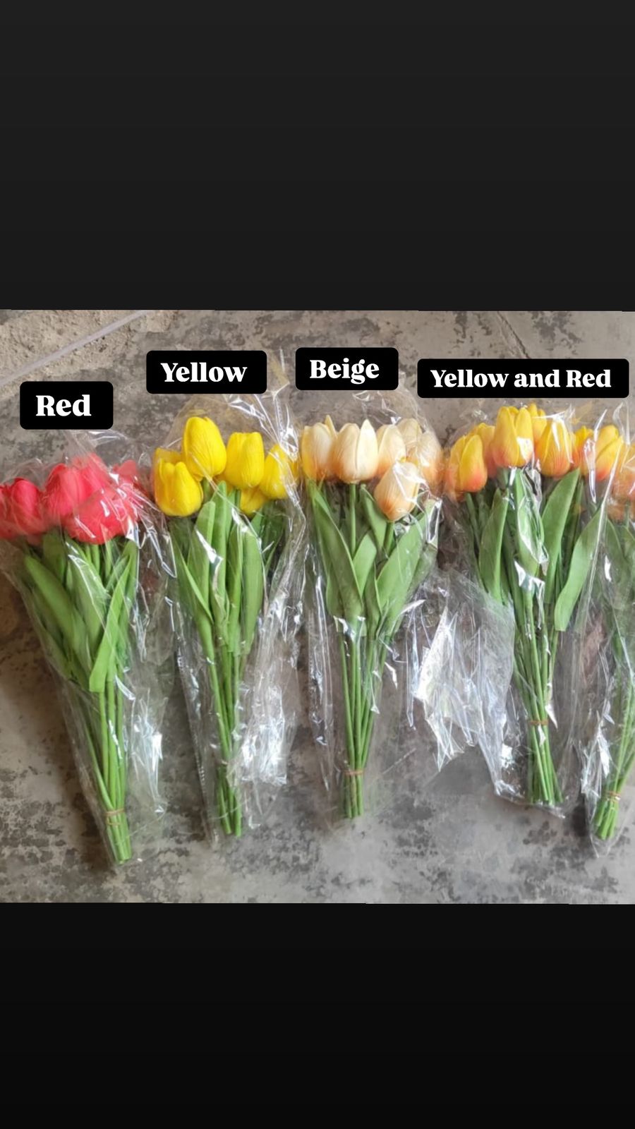 WhatsApp Image 2025-05-16 at 1.30.02 AM