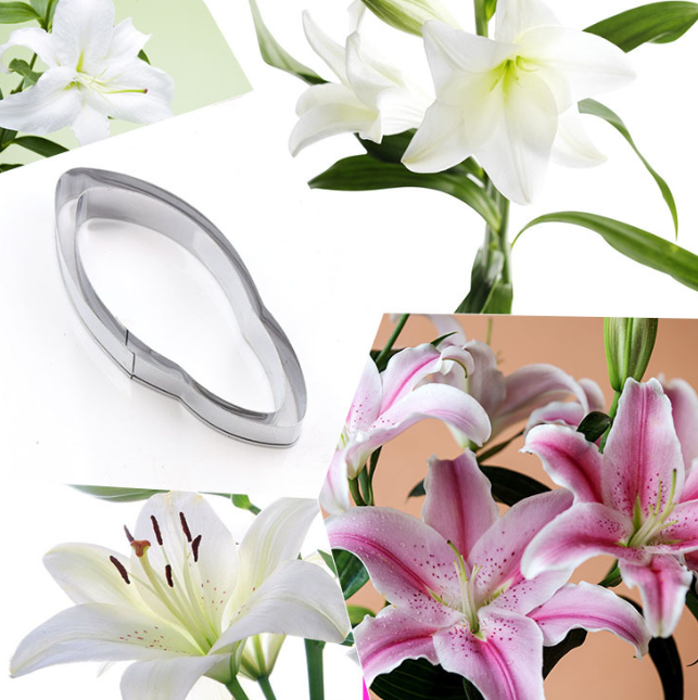 Screenshot 2025-04-18 015234