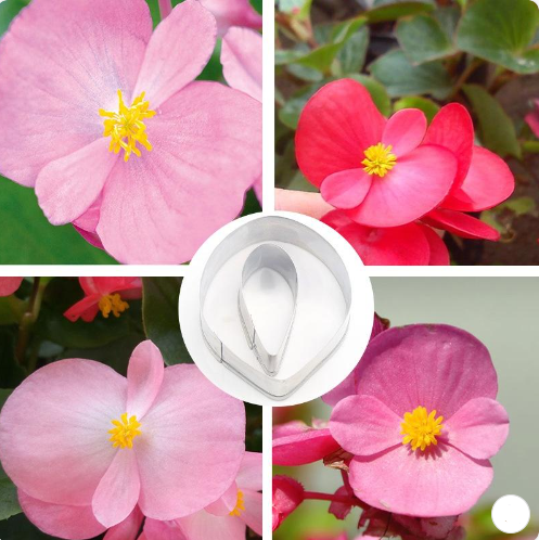 Screenshot 2025-04-18 021136