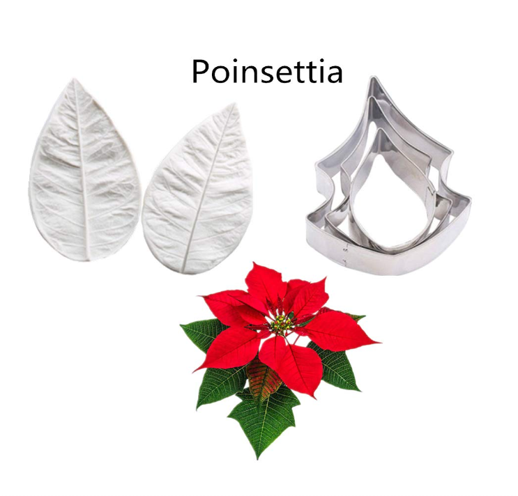 Screenshot 2025-06-21 144444