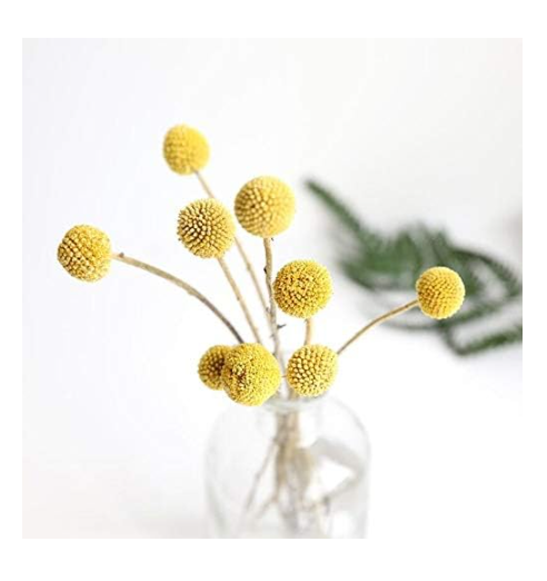 Screenshot 2025-06-21 144900